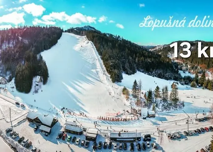 šuňava